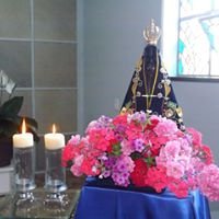 Visita imagem peregrina de Nossa Senhora Aparecida - 2017 