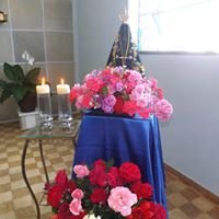 Visita imagem peregrina de Nossa Senhora Aparecida - 2017 