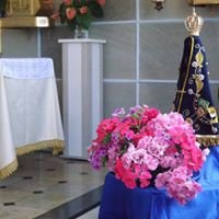 Visita imagem peregrina de Nossa Senhora Aparecida - 2017 