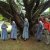 2014 - Visita ao Parque em São Lourenço