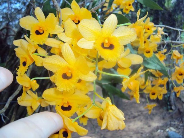 image002